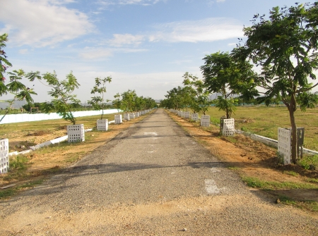 1) Open Plots for Sale in Tirupati.JPG